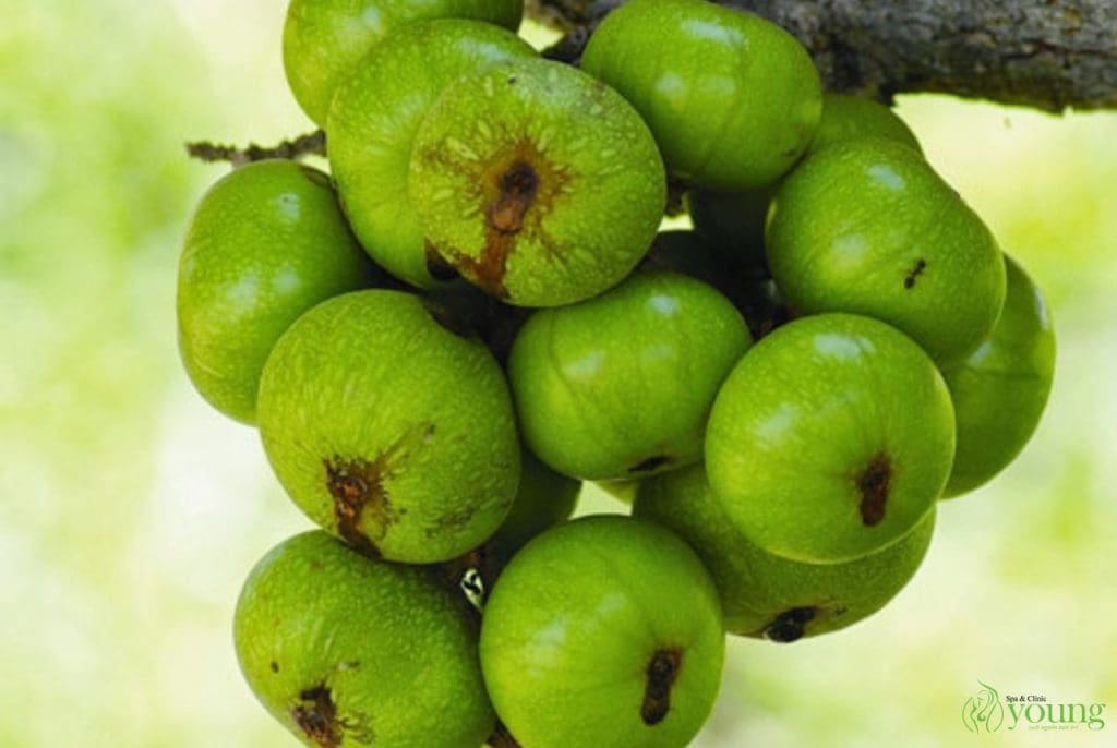 bi-quyet-giam-mo-bung-cua-nguoi-xua