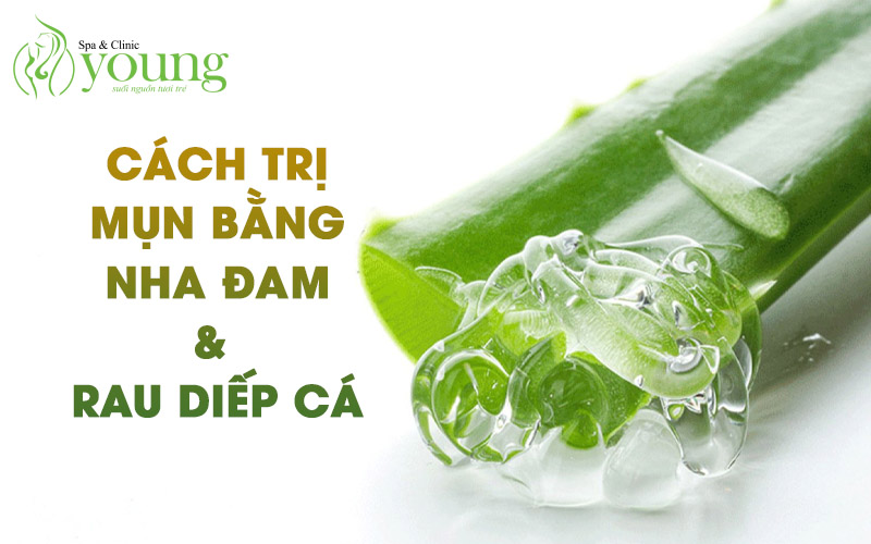 Cách trị mụn bằng nha đam và rau diếp cá
